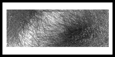 Digitale Kunst mit dem Titel "L'harmonie du chaos…" von Scowcza, Original-Kunstwerk, 2D digitale Arbeit Auf Holzplatte monti…