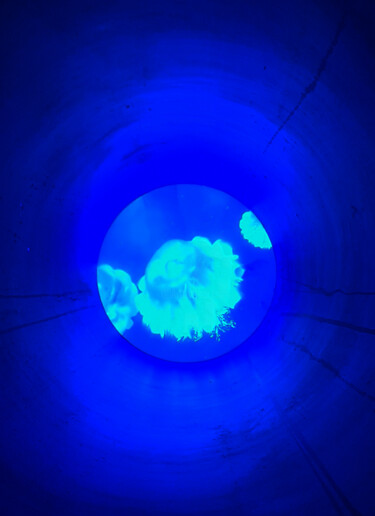 数字艺术 标题为“AZUL 3” 由Yudy Angelica Silva Calvo, 原创艺术品, 数码摄影