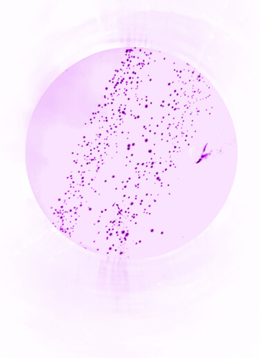 数字艺术 标题为“AZUL 15” 由Yudy Angelica Silva Calvo, 原创艺术品, 数码摄影