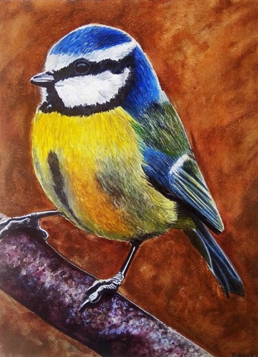 Mésange bleue Peinture intitulée "Mésange bleue" par Sabrina Riggio, Œuvre d'art originale, Aquarelle Monté sur Panneau de bois