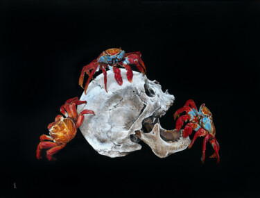 Printmaking titled "Grapsus grapsus - L…" by Sailev, Original Artwork, Digital Print