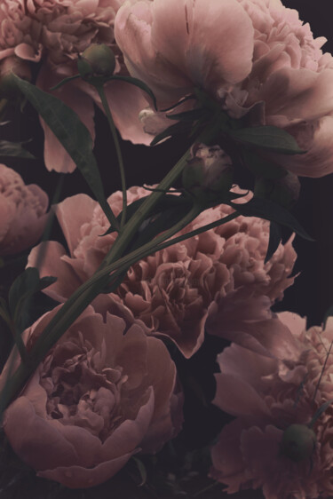 摄影 标题为“Flowerissimo_10005” 由Michael Vdovin, 原创艺术品, 数码摄影