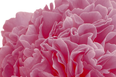 "Flowerissimo_10304" başlıklı Fotoğraf Michael Vdovin tarafından, Orijinal sanat, Dijital Fotoğrafçılık