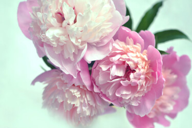 摄影 标题为“Flowerissimo_16998” 由Michael Vdovin, 原创艺术品, 数码摄影