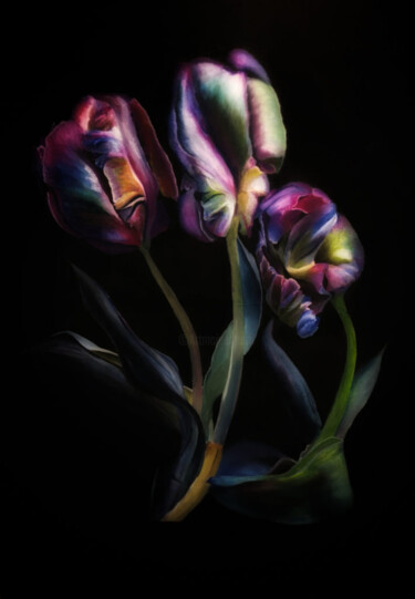 「Tulip」というタイトルの絵画 Jolanta Rabensteinによって, オリジナルのアートワーク, アクリル