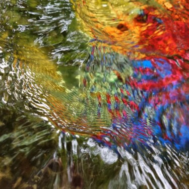 Fantaisie aquatique, le perroquet 1 Photographie intitulée "Fantaisie aquatique…" par Sylvie Chapuis, Œuvre d'art originale, Photographie non manipulée