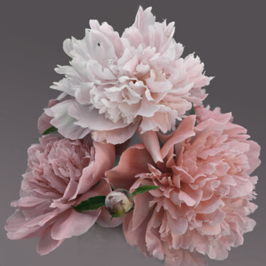 摄影 标题为“Flowerissimo_14306” 由Michael Vdovin, 原创艺术品, 数码摄影