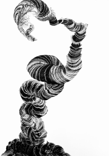 图画 标题为“Wachstum III” 由Sandra Ludwig, 原创艺术品, 墨