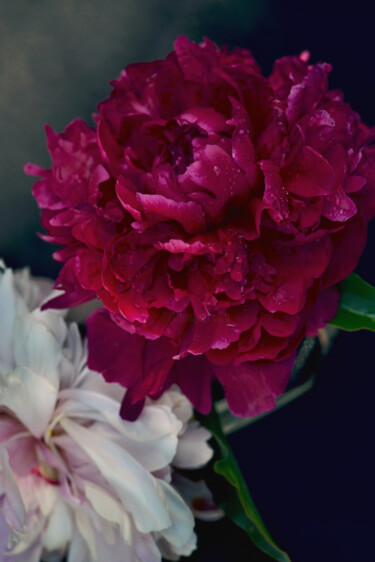 Fotografie getiteld "Flowerissimo_14330" door Michael Vdovin, Origineel Kunstwerk, Digitale fotografie