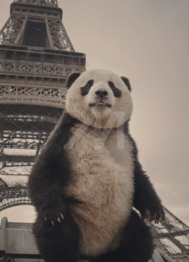 Arts numériques intitulée "Panda tour eiffel" par Caprice, Œuvre d'art originale, Image générée par l'IA
