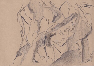 Disegno intitolato "Tetra" da Maeva J., Opera d'arte originale, Grafite