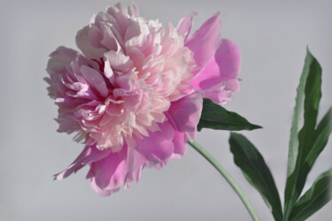 "Flowerissimo_15943" başlıklı Fotoğraf Michael Vdovin tarafından, Orijinal sanat, Dijital Fotoğrafçılık