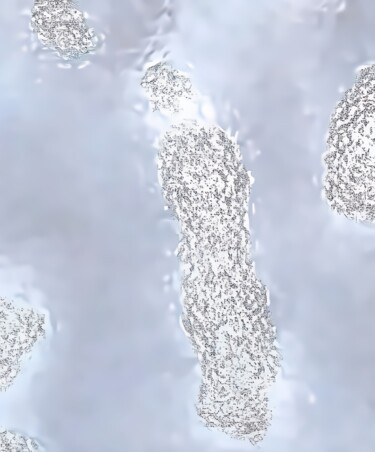 Digital Arts titled "untitled017" by Nobuaki Nakamura, Original Artwork, Digital Painting