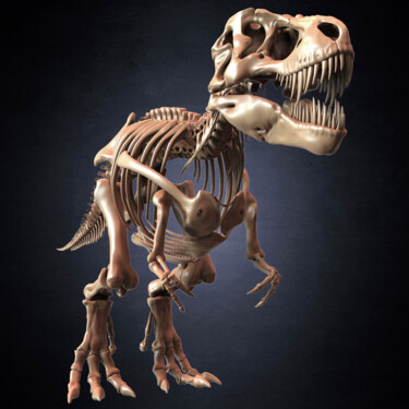 数字艺术 标题为“T-Rex Skeleton 3D M…” 由Yacine Brinis, 原创艺术品, 三维建模