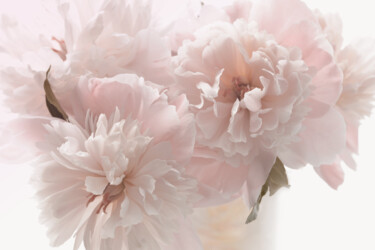 摄影 标题为“Flowerissimo_17146” 由Michael Vdovin, 原创艺术品, 数码摄影