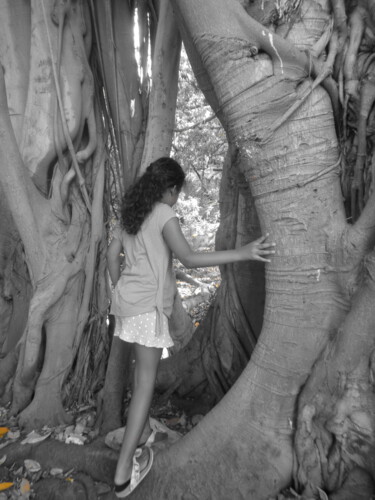 Photography titled "Dentro l'albero" by Antonella Cannata, Original Artwork, Digital Photography