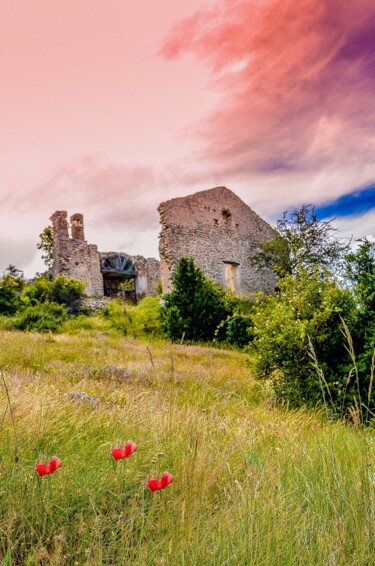 Photography titled "Chateauneuf les mou…" by Frederic Dupuy, Original Artwork, Digital Photography