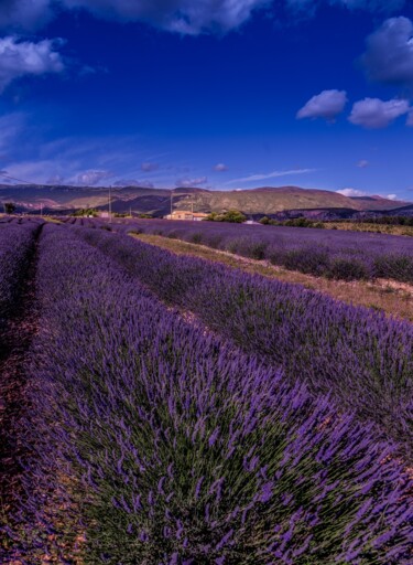 Photography titled "moustiers ." by Frederic Dupuy, Original Artwork, Digital Photography