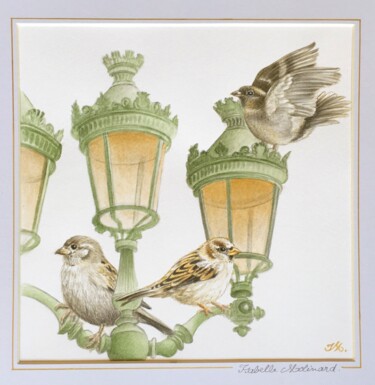Painting titled "3 moineaux 3 réverb…" by Isabelle Molinard, Original Artwork, Watercolor