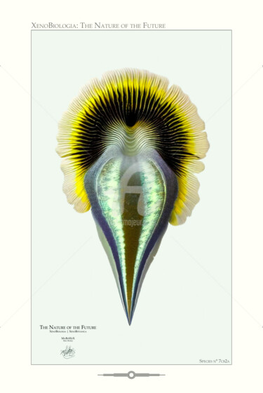 Digital Arts titled "XenoBiologia, La Na…" by Marc Boulay, Original Artwork, 3D Modeling Mounted on artwork_cat.