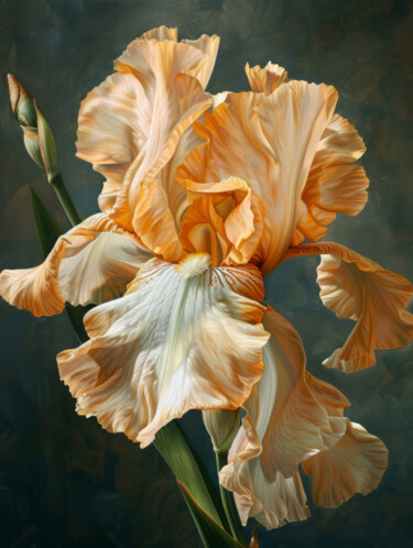 Digital Arts titled "Iris 5" by Bilge Paksoylu, Original Artwork, AI generated image