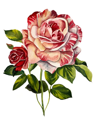 Pittura intitolato "rosa rossa" da Daria Ceppelli, Opera d'arte originale, Acquarello