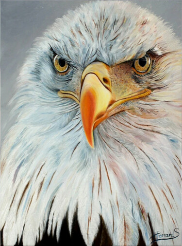 Peinture intitulée "Le regard" par Sylvie Hiernard, Œuvre d'art originale, Huile
