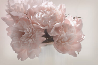 摄影 标题为“Flowerissimo_17045” 由Michael Vdovin, 原创艺术品, 数码摄影