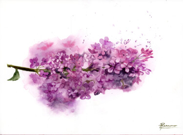 Картина под названием "Lilac" - Paintispassion, Подлинное произведение искусства, Акварель