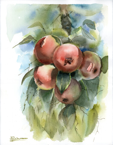 Painting titled "Apple Tree Branch" by Paintispassion, Original Artwork, Watercolor