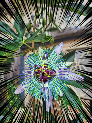 제목이 "Passion Flower"인 디지털 아트 Lu Sho로, 원작, 디지털 콜라주