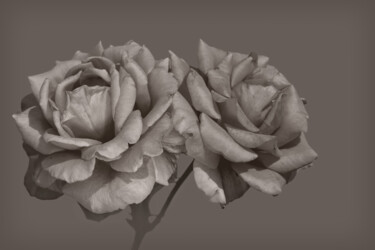 Fotografia intitolato "Flowerissimo_13897" da Michael Vdovin, Opera d'arte originale, Fotografia digitale