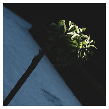 Photography titled "LVIII (green)" by Zheka Khalétsky, Original Artwork, Non Manipulated Photography