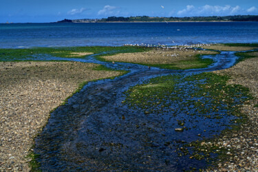 Carantec, le Frout, l'île Noire. Photography titled "Carantec, le Frout,…" by Thierry Martin, Original Artwork, Digital Photography