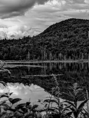 Photography titled "Greydients Five" by C.R. Kunferman, Original Artwork, Digital Photography
