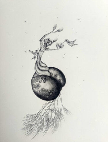 Réminescence/ Les graines 2