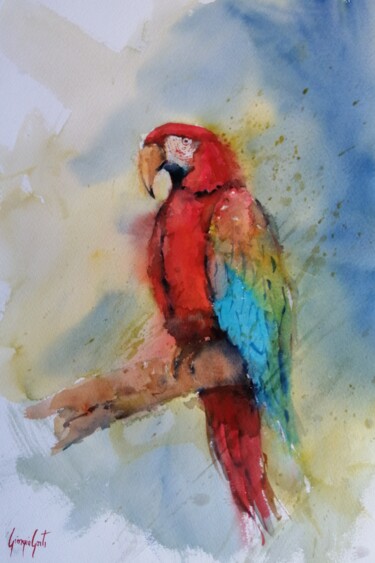 Peinture intitulée "parrot 3" par Giorgio Gosti, Œuvre d'art originale, Aquarelle