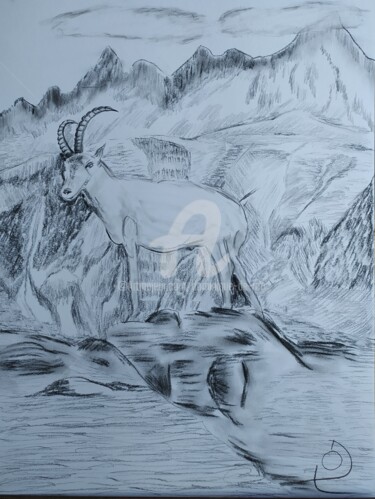 图画 标题为“Chamois de Chamonix” 由Dominique De Roo, 原创艺术品, 木炭