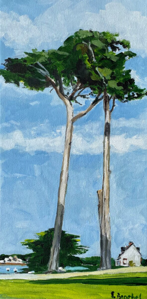 Peinture intitulée "Penvénan" par Pascal Brachet, Œuvre d'art originale, Acrylique