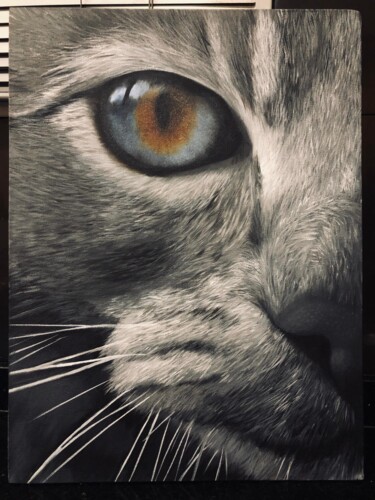 Pintura intitulada "Hiperrealismo con o…" por Patricia Alvarez, Obras de arte originais, Óleo