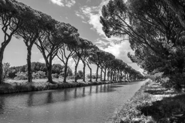 5339 - Canal de la Robine Sallèles d'Aude