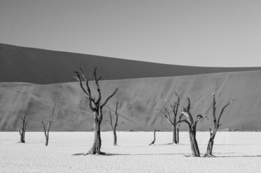 Namib Desert-0669-SW 摄影 标题为“Namib Desert-0669-SW” 由Uwe Bauch, 原创艺术品, 数码摄影
