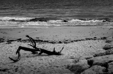 제목이 "Plage noir et blanc…"인 사진 Rosalina Vaz로, 원작, 디지털