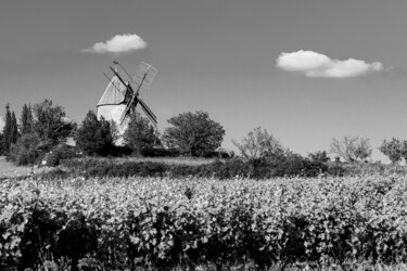 4547 - Moulin de Villeneuve-Minervois (11160 Aude)