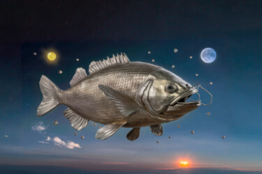 C0001 - Poisson d'acier dans l'espace