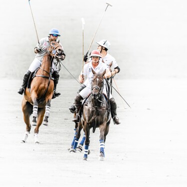 8391 - Polo