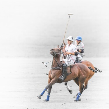 8390 - Polo