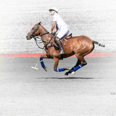 9025 - Polo