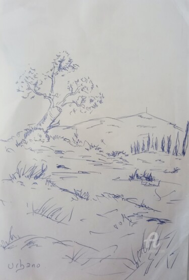 Drawing titled "Le SUD sauvage" by Roberto Urbano, Original Artwork, Ballpoint pen