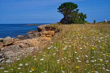 Φωτογραφία με τίτλο "Carantec, l'île Cal…" από Thierry Martin, Αυθεντικά έργα τέχνης, Ψηφιακή φωτογραφία